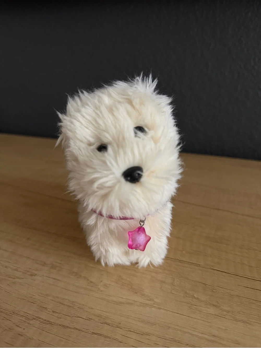 American Girl Doll Coconut the Dog